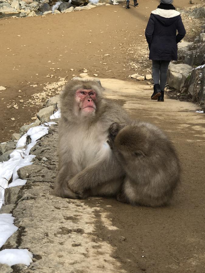Base Camp The Lodge ميوكو المظهر الخارجي الصورة
